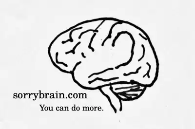 The underestimated brain